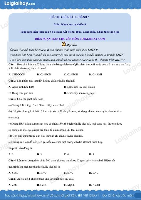 Đề thi giữa kì 2 KHTN 9 Chân trời sáng tạo - Đề số 5